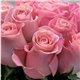 Роза чайно-гибридная Hermosa 